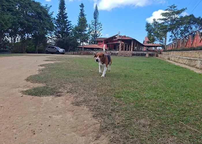 Hotel Cristo Rey Campestre