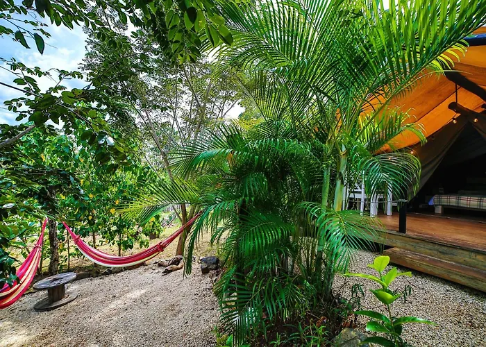 Flor Y Bambu
