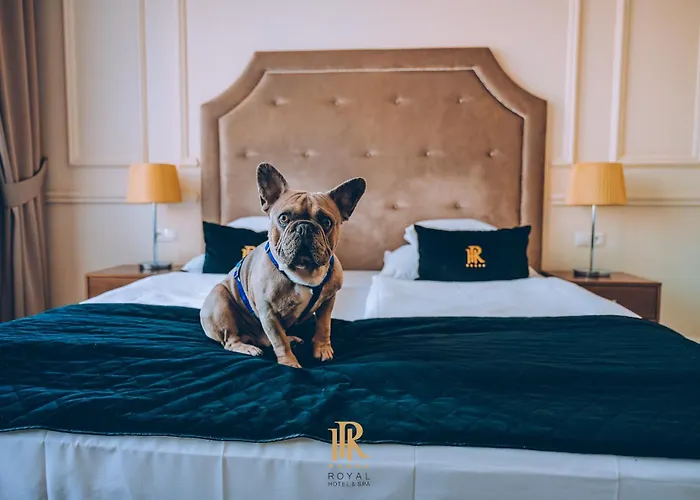 Hotel Royal&Spa