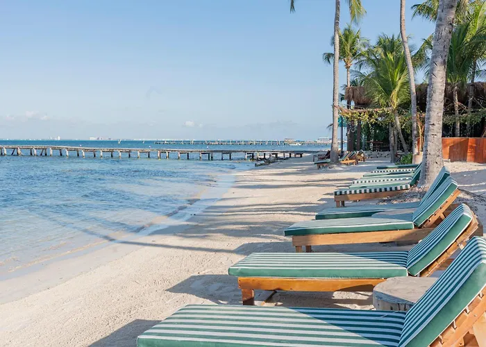 Mayan Monkey Isla Mujeres - Social Hotel (Adults Only)