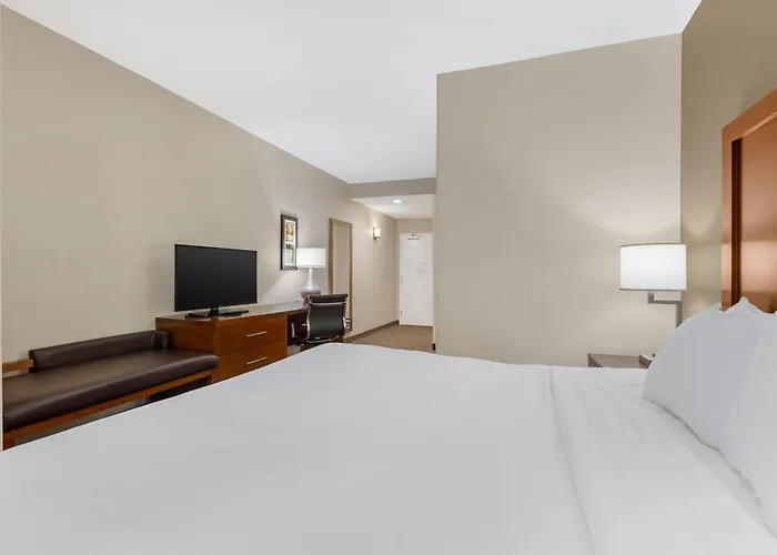 Comfort Inn & Suites Florence Center Area