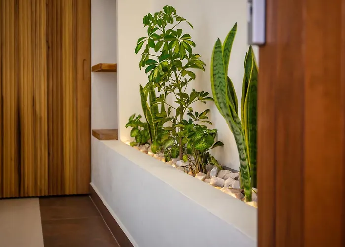 The Nest - Complimentary Massage Included