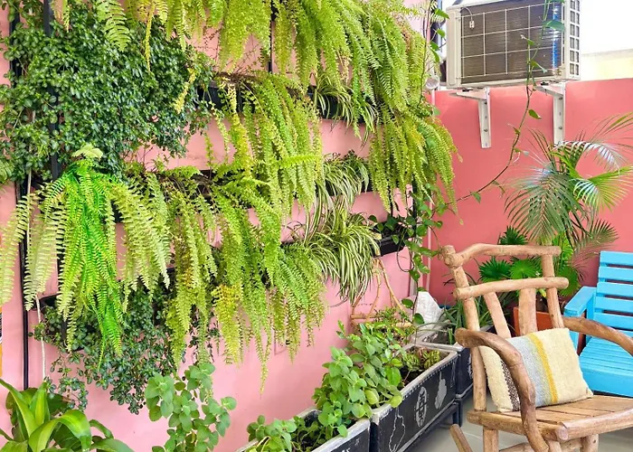 Hotel Anauco