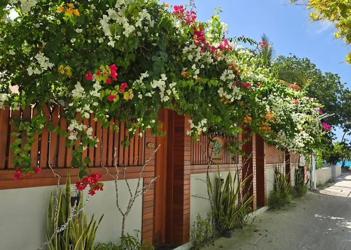 Dhonfalhu Dhigurah
