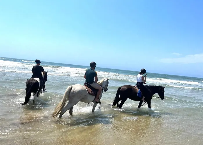 Kob Inn Beach Resort