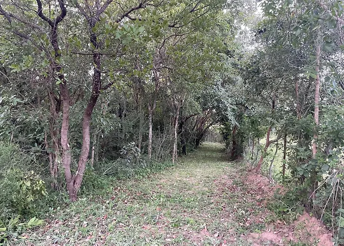 Akamba Cultural Center And Museum