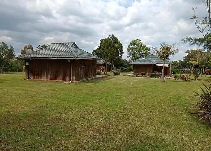 The Nelion