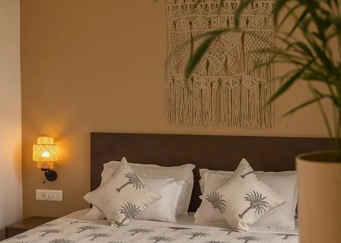 The Palm House - Coworking And Coliving Community