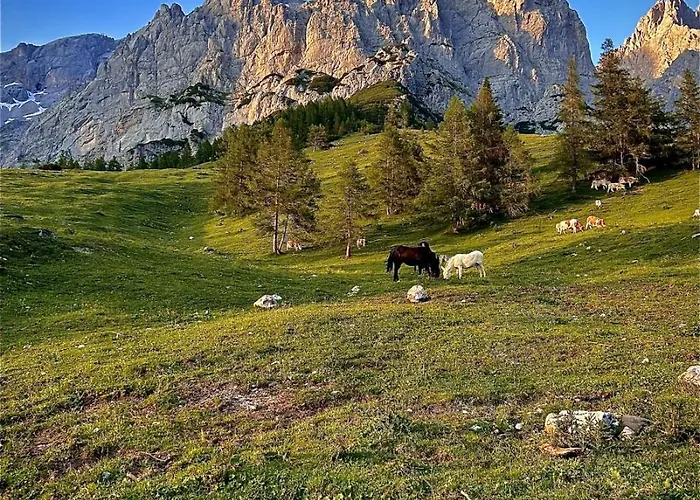 Berghotel Tuerlwand