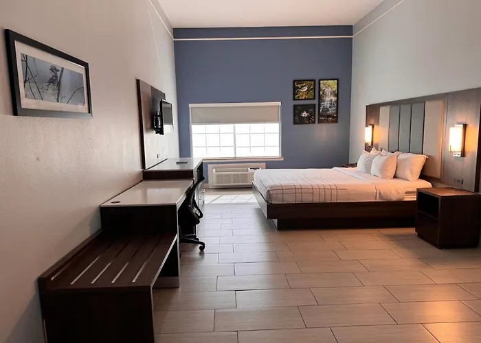 La Quinta By Wyndham Alamo-Mcallen East