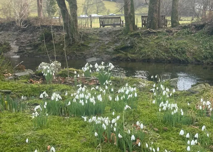 The Grasmere Hotel