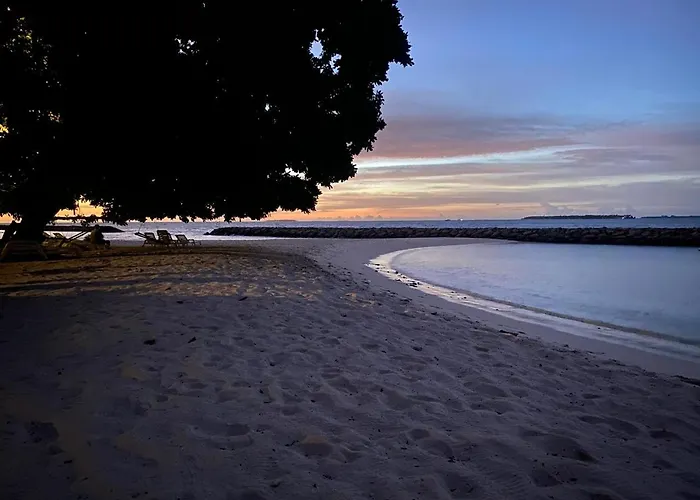 Chak'Z 1964 Beach