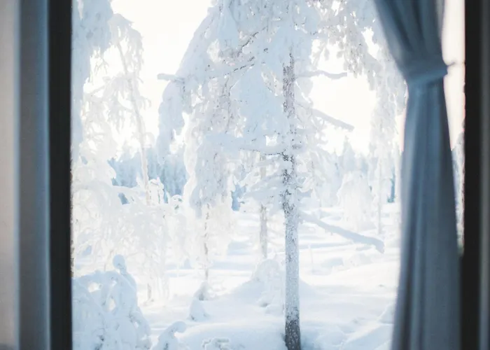 Halo Igloos Resort