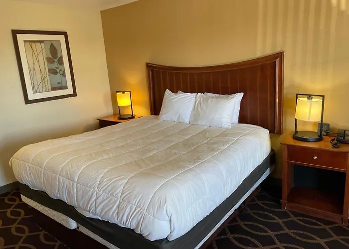 Millennium Inn