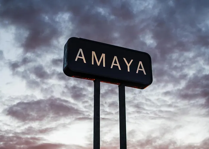 The Amaya - 21 And Older Only