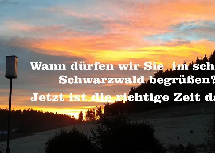 Dzt-Schwarzwaldhotel Garni
