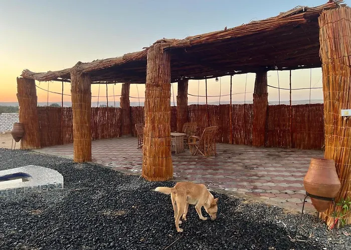 Desert Meditation Camp