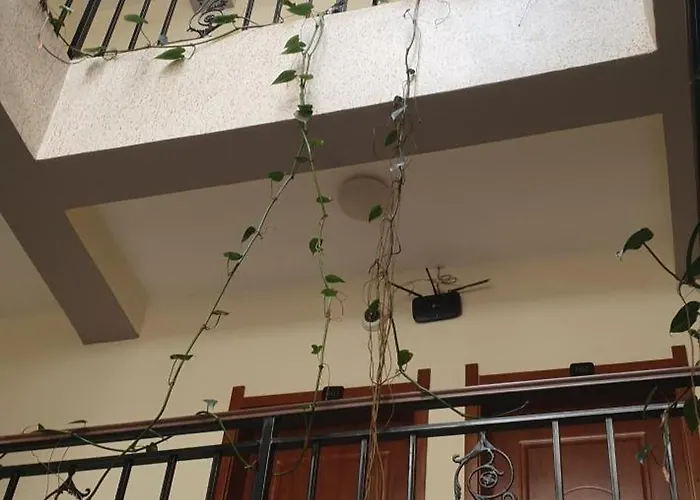 Hibr Tsega Hotel