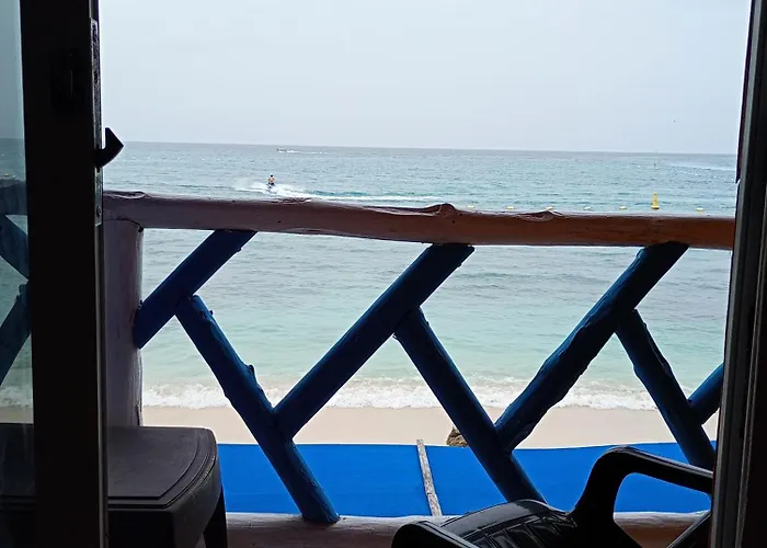 Paraíso de corales