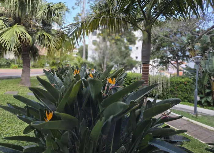 Hotel Buganvília
