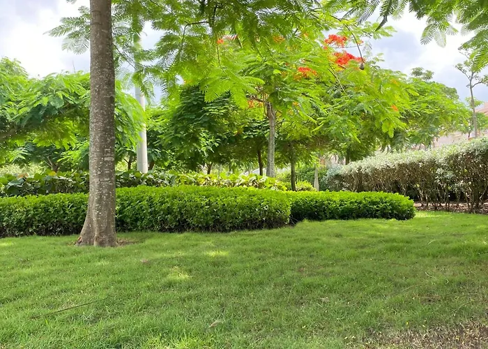 Holiday Inn Express - Barranquilla Buenavista By Ihg
