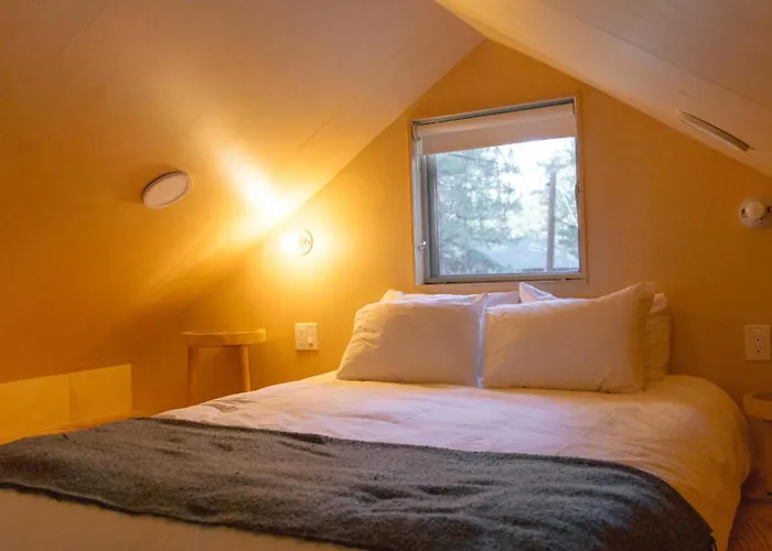 Colorado Lodge