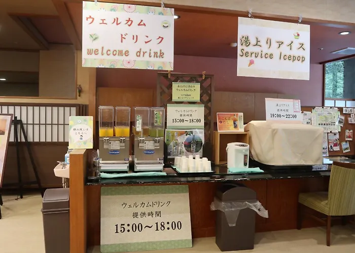 Shuzenji Onsen Katsuragawa