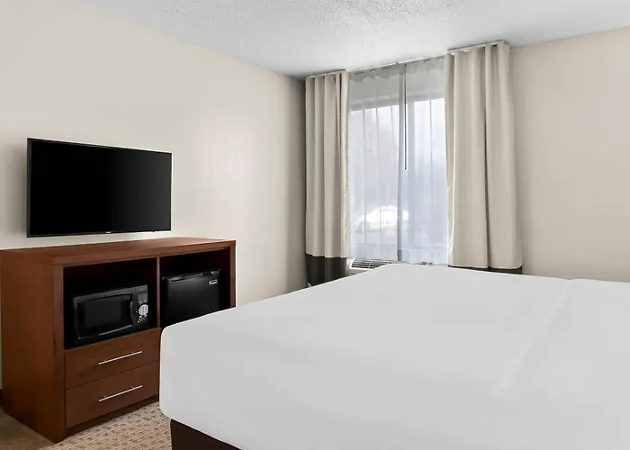 Comfort Inn & Suites Taylor - Detroit