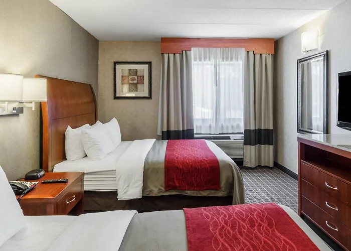 Comfort Inn & Suites West Springfield