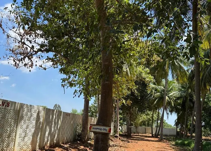 Gods Garden