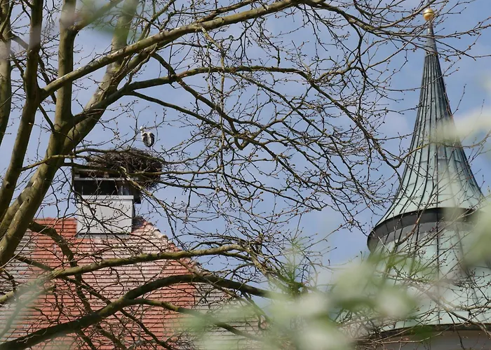 ZUM SCHLOSS - Boutique-Hotel