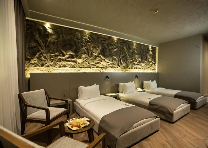 The Erzurum Hotel