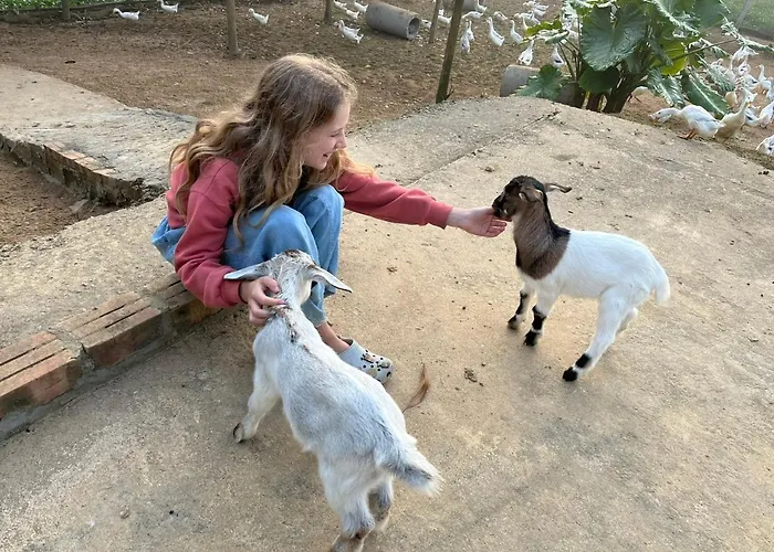 Phong Nha Mini Farm - Nguyen Shack