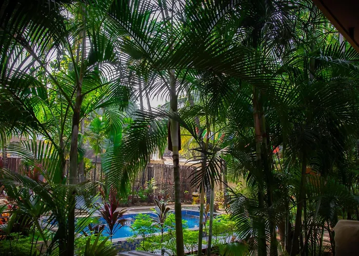 Resort Zulley