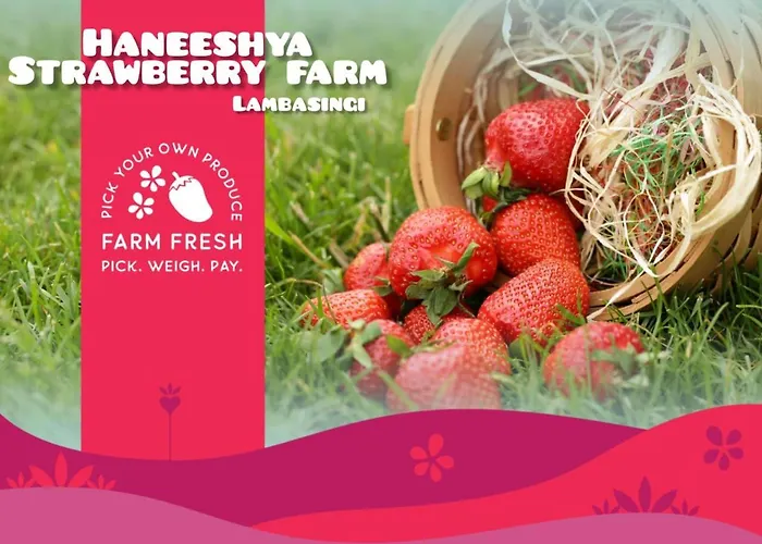 Haneeshya Resort-Strawberry Farm,Tents Campfire