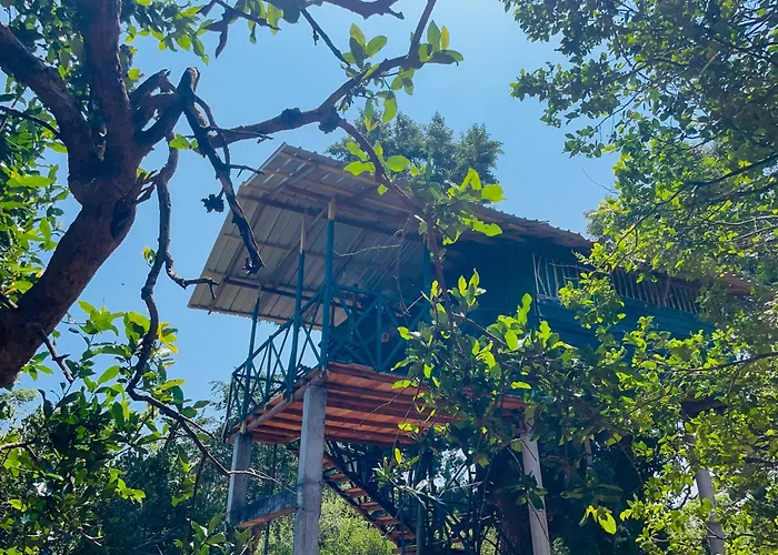 Green Tree House Yala