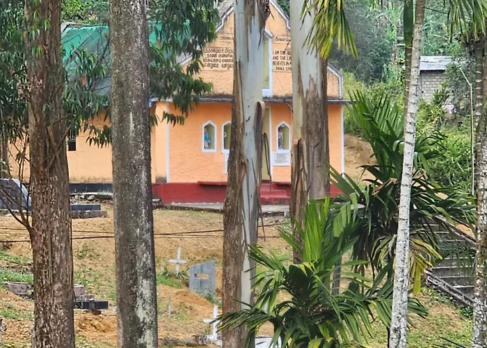 Bloomy Villa