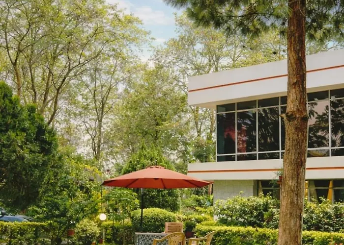Pine Tree Resort Betla