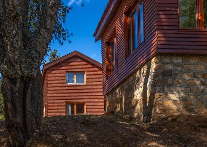 Chalets&SPA à l'eau thermale