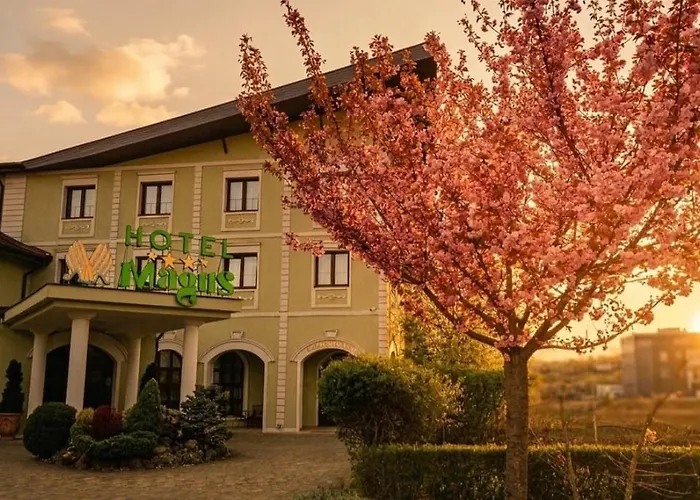 Magus Hotel