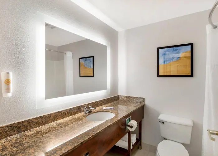 Comfort Inn & Suites Suwanee - Sugarloaf