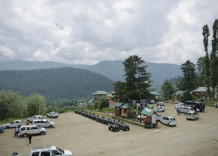 Pine View