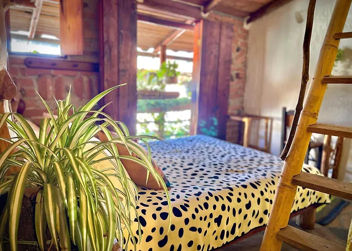 Hotel Casa Tarzan San Agustin
