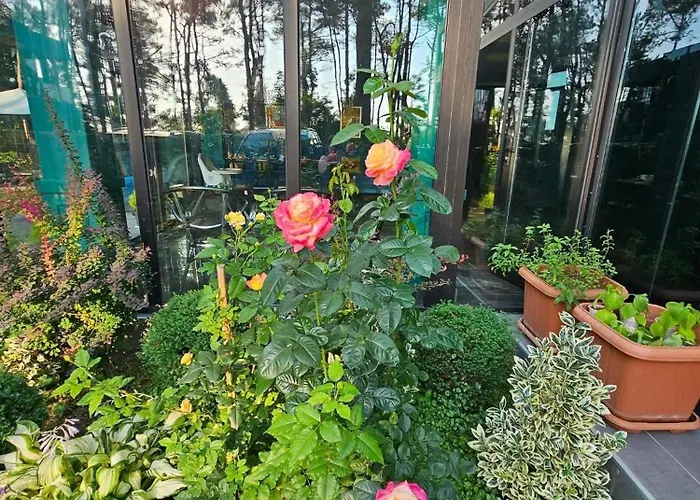 Villa Story Hotel