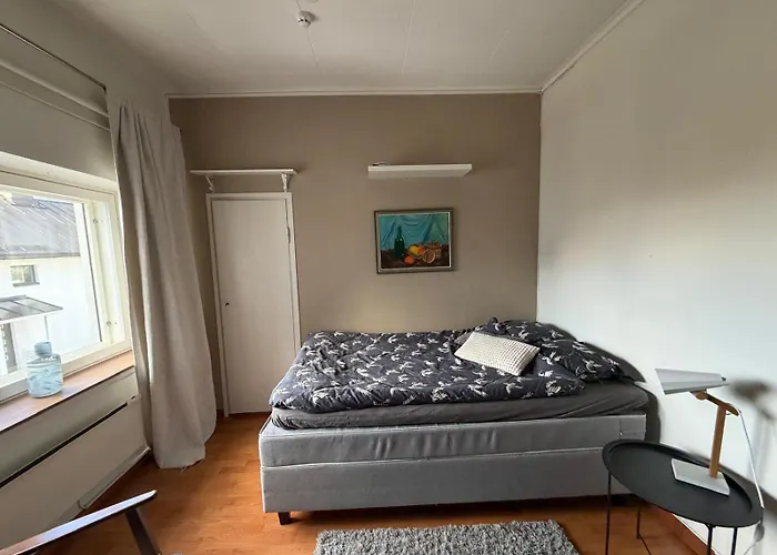 Snygg Studio Laegenhet Wolffskavaegen 21