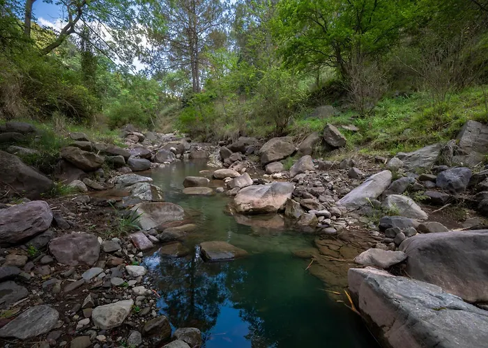 Splendid Retreat Hotels Kasauli - Vacation, River View Balcony, Traking, Camping, Bonfire, Family Groups, Forest Treks, Memories