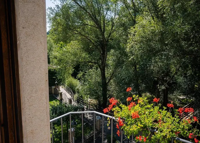 Albergo Pineta dal 1891