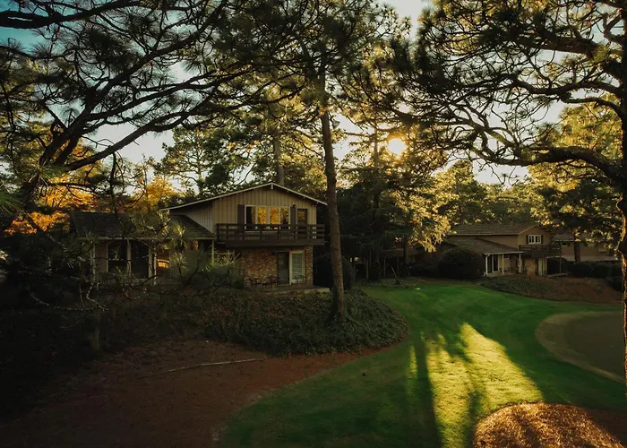 Marine & Lawn Pine Needles