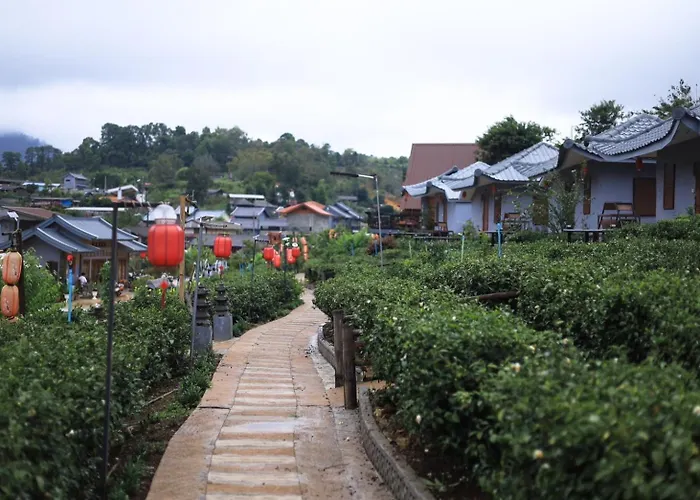 Chenfong Rakthai Resort-ไร่ชาเฉินฟงรีสอร์ท