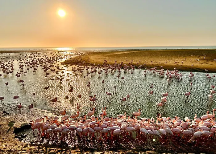 Flamingo Villas Boutique Hotel